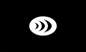 Spyfish logo