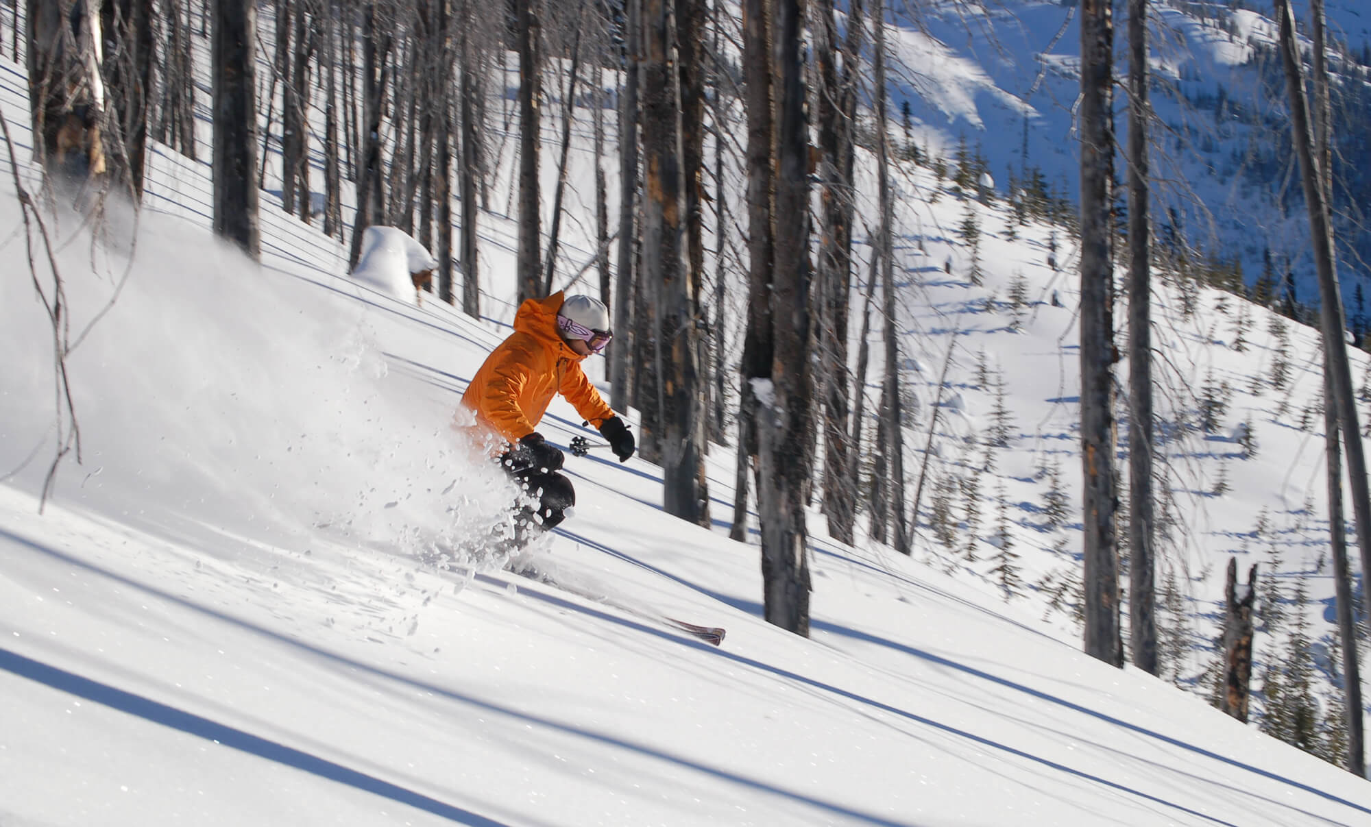 Tree powder skier